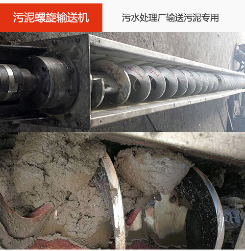 污泥包子视频APP苹果下载水平/倾斜输送，污水厂输送污泥专用设备。