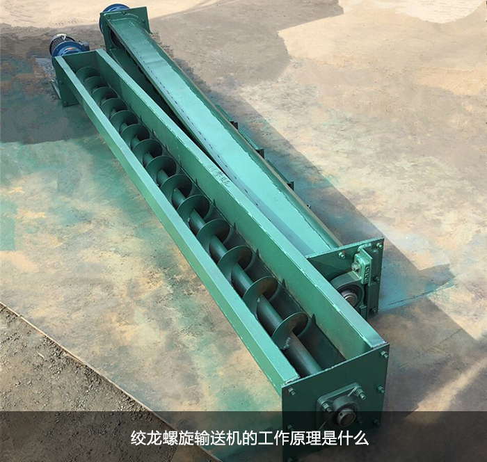 蛟龙包子视频APP苹果下载图片