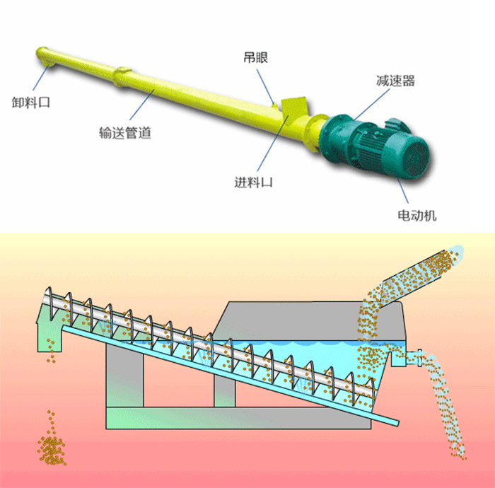 绞龙包子视频APP苹果下载